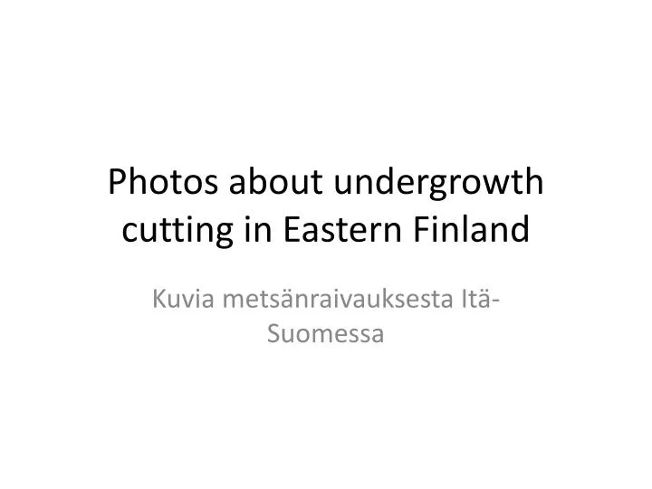 photos about undergrowth cutting in eastern finland