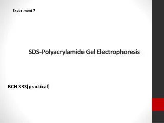 SDS- Polyacrylamide Gel Electrophoresis