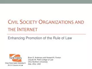 Civil Society Organizations and the Internet