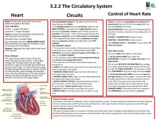 3.2.2 The Circulatory System