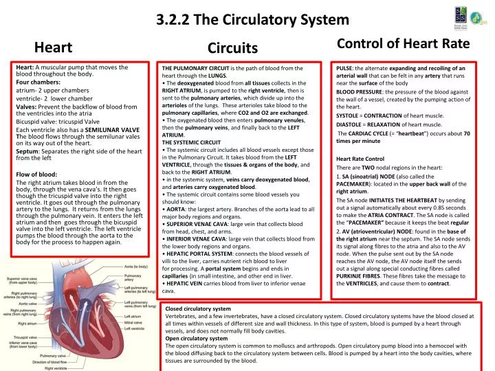 3 2 2 the circulatory system