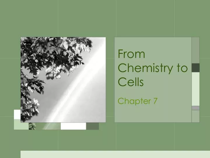 from chemistry to cells