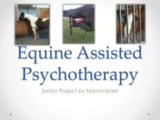 Equine Assisted Psychotherapy