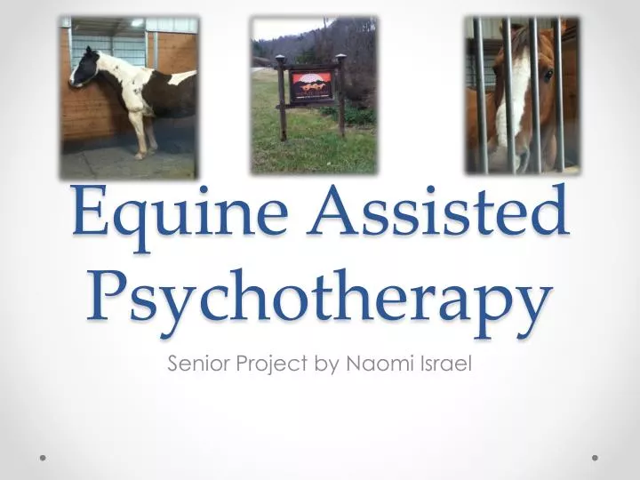 equine assisted psychotherapy