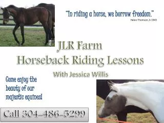 JLR Farm Horseback Riding Lessons