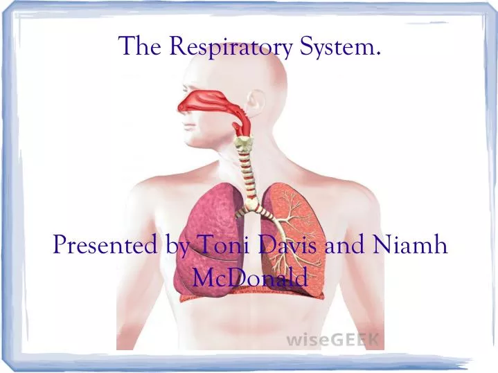 the respiratory system presented by toni davis and niamh mcdonald