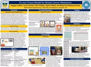 Ex vivo Tissue Model for Breast Cancer Metastasis