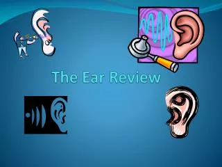 The Ear Review