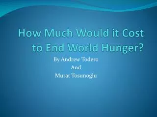 How Much Would it Cost to End World Hunger?