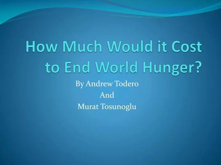 how much would it cost to end world hunger