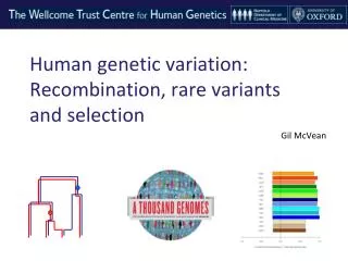 Human genetic variation: Recombination, rare variants and selection