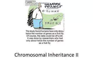 Chromosomal Inheritance II