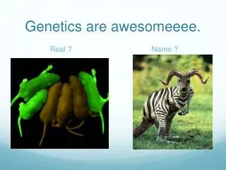 Genetics are awesomeeee.
