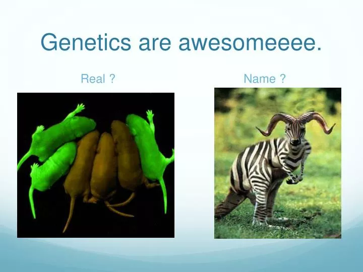 genetics are awesomeeee