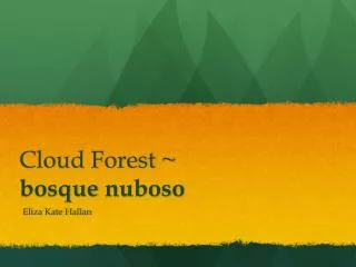 Cloud Forest ~ bosque nuboso