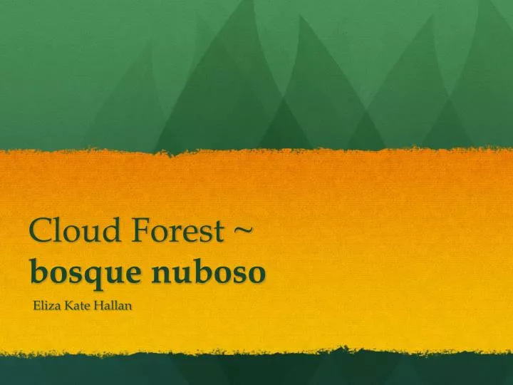 cloud forest bosque nuboso