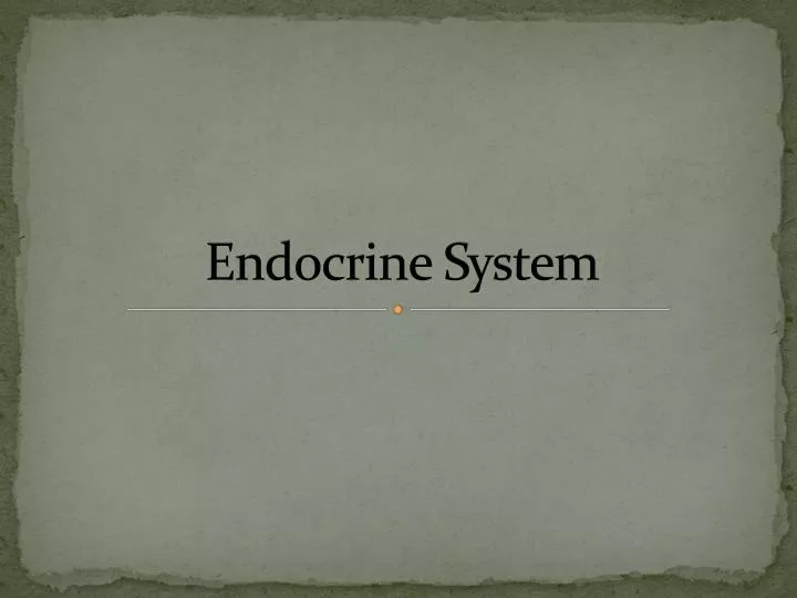 endocrine system