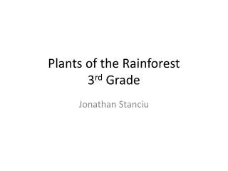 Plants of the Rainforest 3 rd Grade
