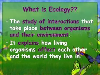 What is Ecology??