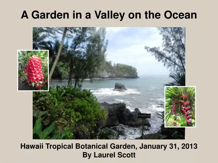 hawaii tropical botanical garden january 31 2013 by laurel scott