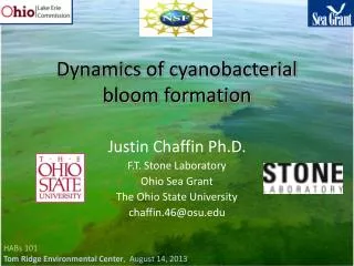 Dynamics of cyanobacterial bloom formation