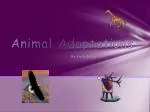 Animal Adaptations - slide 1