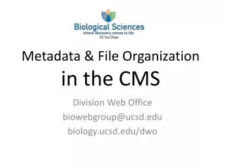 Metadata &amp; File Organization in the CMS