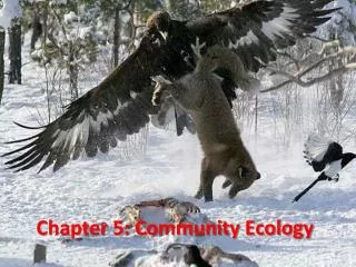 Chapter 5: Community Ecology