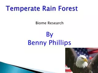 Temperate Rain Forest