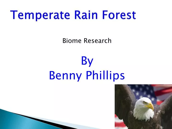 temperate rain forest