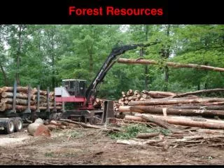 Forest Resources