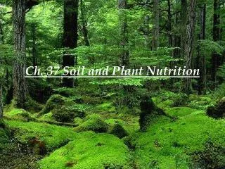 Ch. 37 Soil and Plant Nutrition