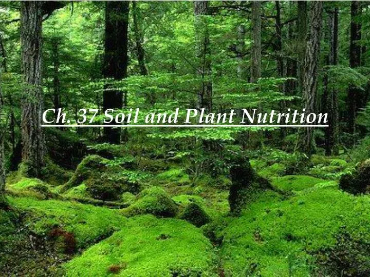 ch 37 soil and plant nutrition