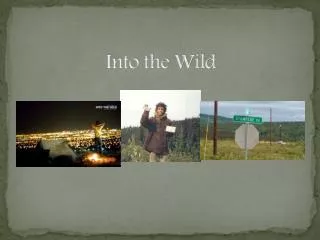 Into the Wild