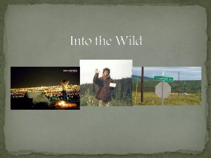 into the wild