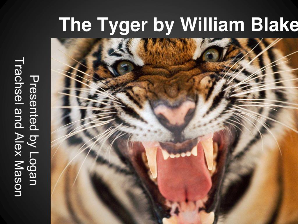 Tyger PPT - The Tyger by William Blake PowerPoint Presentation, free download ...