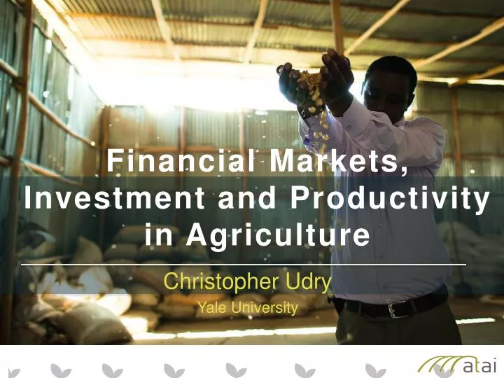 financial markets investment and productivity in agriculture