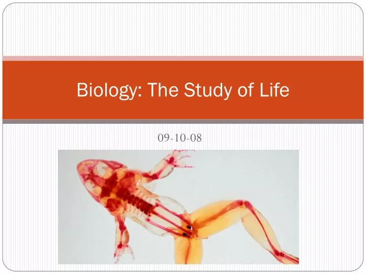 biology the study of life