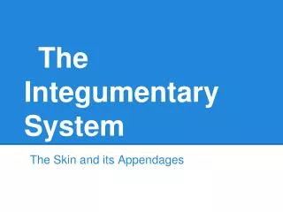 The Integumentary System