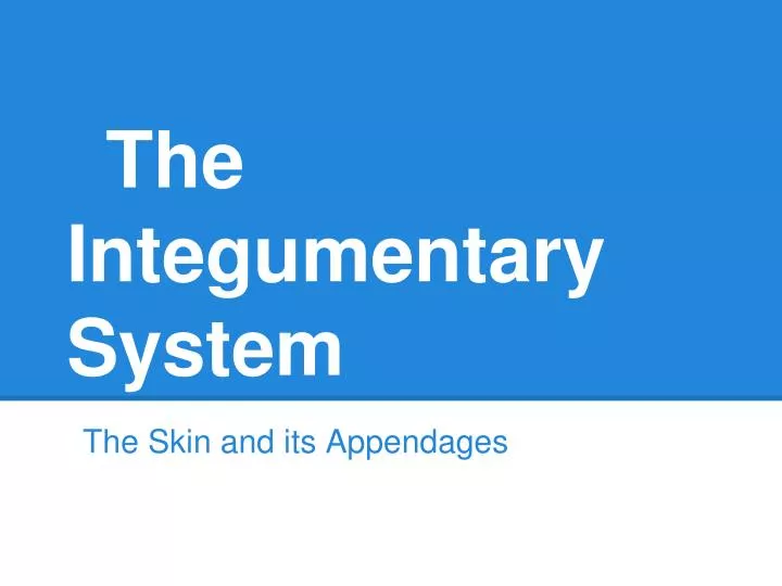 the integumentary system