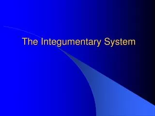 The Integumentary System