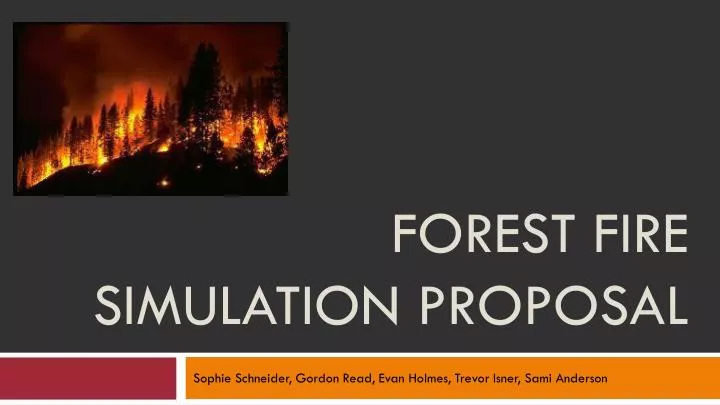 forest fire simulation proposal
