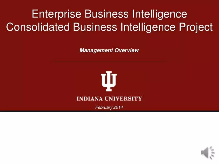 enterprise business intelligence consolidated business intelligence project