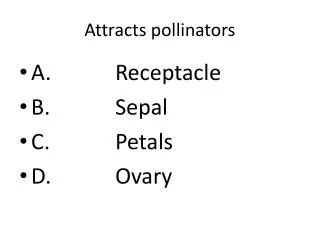 Attracts pollinators