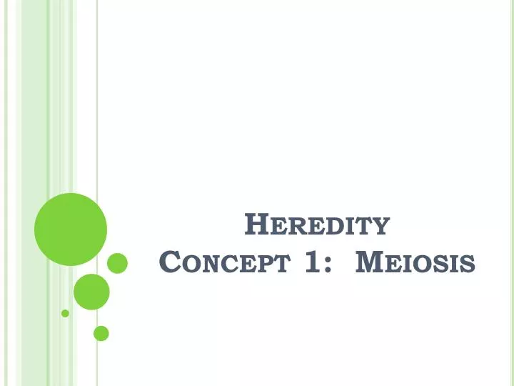 heredity concept 1 meiosis