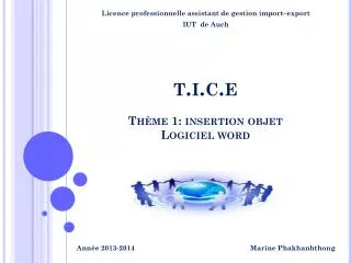 licence professionnelle assistant de gestion import export iut de auch