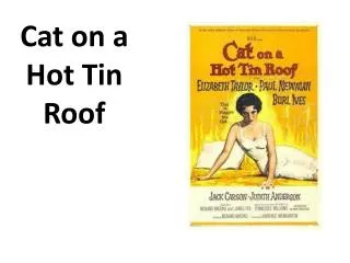 Cat on a Hot Tin Roof