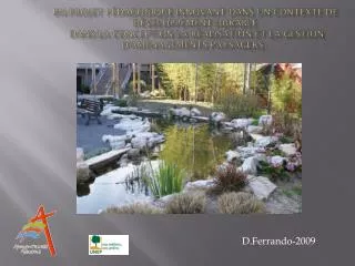 d ferrando 2009