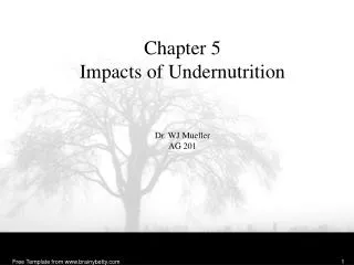 Chapter 5 Impacts of Undernutrition Dr. WJ Mueller AG 201