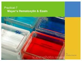 Practical-7 Mayer’s Hematoxylin &amp; Eosin